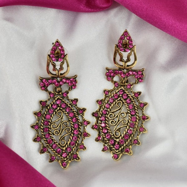 Adorned With Dark Pink Stones Earring